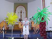 vbs2010_1