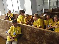 vbs2010_39